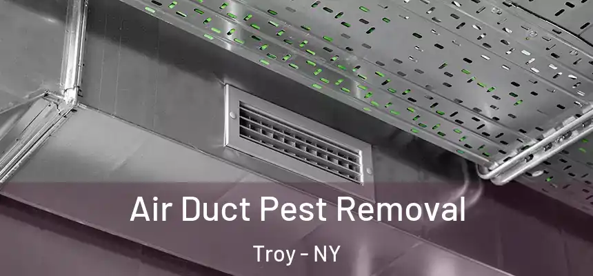  Air Duct Pest Removal Troy - NY