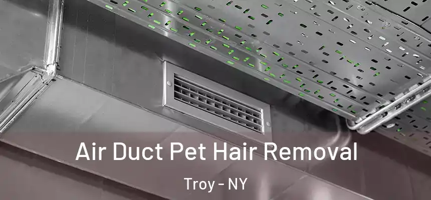  Air Duct Pet Hair Removal Troy - NY
