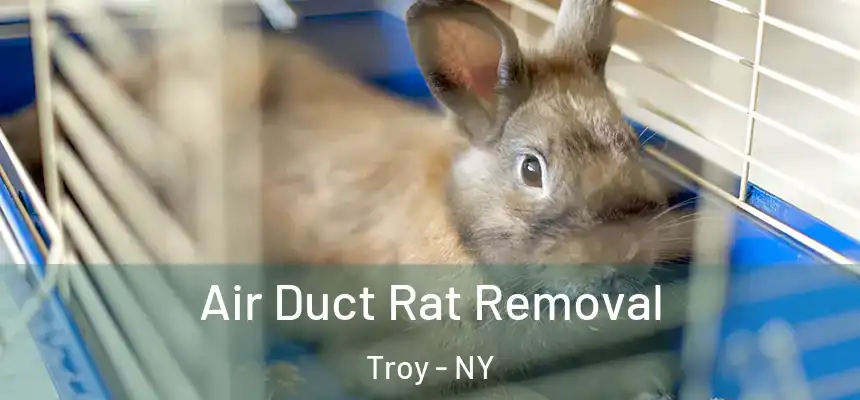  Air Duct Rat Removal Troy - NY