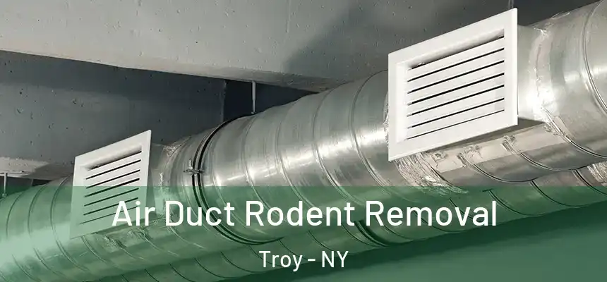  Air Duct Rodent Removal Troy - NY