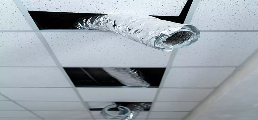 Our Air Duct Pet Hair Removal Services in Troy, NY