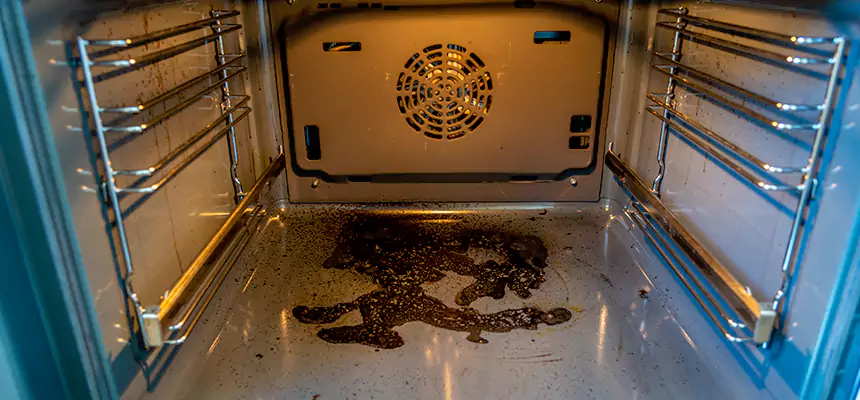 Our Dryer Vent Mold Cleaning Services in Troy, NY