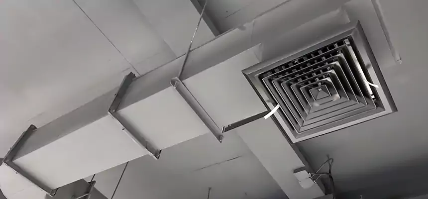 Our Pest Removal From Ducts Services in Troy, NY