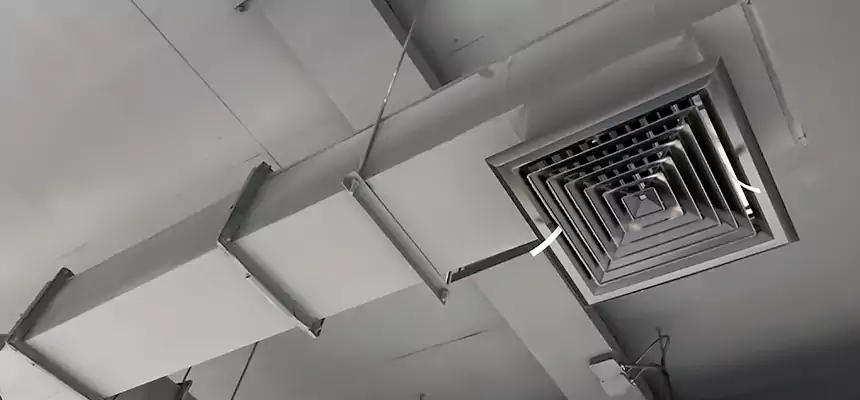 Our Rodent Droppings In Vents Services in Troy, NY