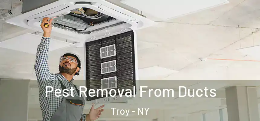  Pest Removal From Ducts Troy - NY