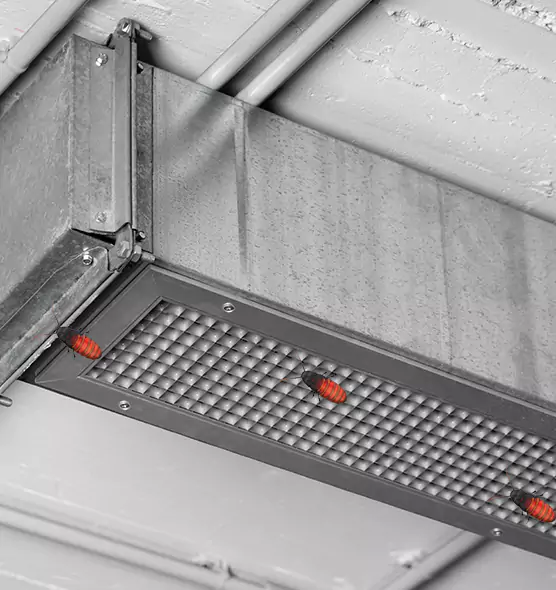 About Air Duct Cockroach Removal in Troy, NY