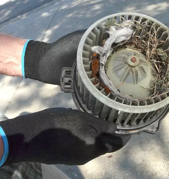 About Air Duct Mice Removal in Troy, NY