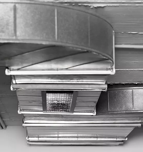 Professional Air Duct Pest Removal in Troy, NY