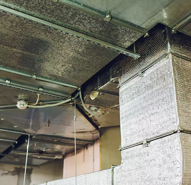 Why Homeowners & Businesses Trust Us in Troy, NY?